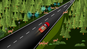 An ultrasonic fence that offers a cost-effective, eco-friendly solution to prevent wildlife-vehicle collisions